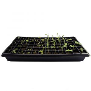 10 X 20 Propagation Insert